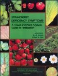 Strawberry Deficiency Symptoms (     -   )