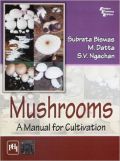 Mushrooms (  -   )