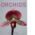 Orchids (      -   )