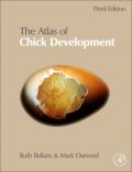 Atlas of Chick Development, 3rd Edition (   -   )