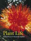 Plant Life (    -   )