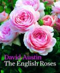 The English Roses (  -   )