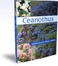 Ceanothus ( -   )