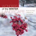 Wonders of The Winter Landscape