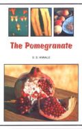 The Pomegranate (  -   ) Hiwale