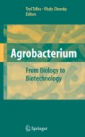 Agrobacterium: From Biology to Biotechnology (Αγροβακτήριο: Από τη βιολογία στη βιοτεχνολογία - έκδοση στα αγγλικά)
