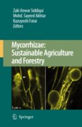 Mycorrhizae: Sustainable Agriculture and Forestry (Μυκόρριζες: Αειφορική γεωργία και δασολογία - έκδοση στα αγγλικά)