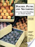 Peaches, Plums, and Nectarines: Growing and Handling for Fresh Market (Ροδακινιά, δαμασκηνιά, νεκταρινιά - έκδοση στα αγγλικά)